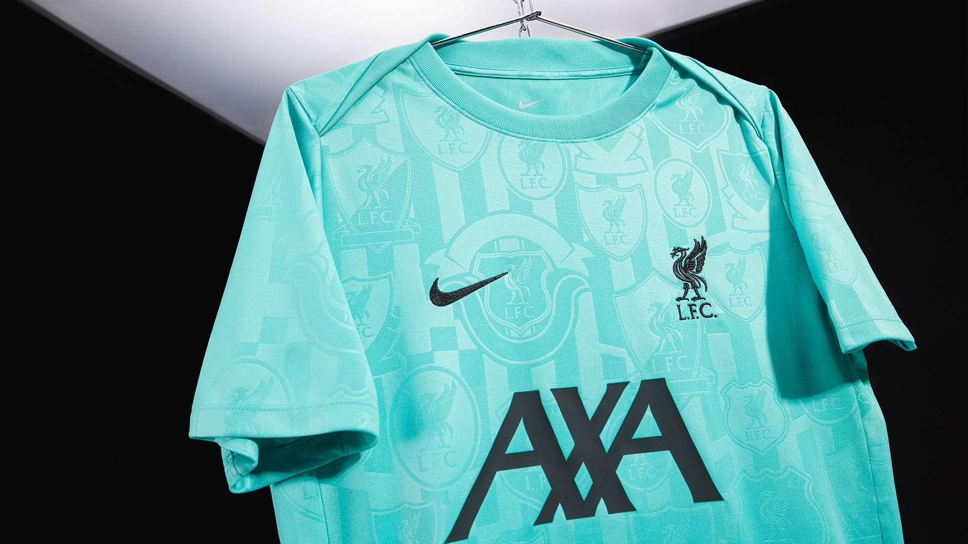 多年来培养 多年来培养