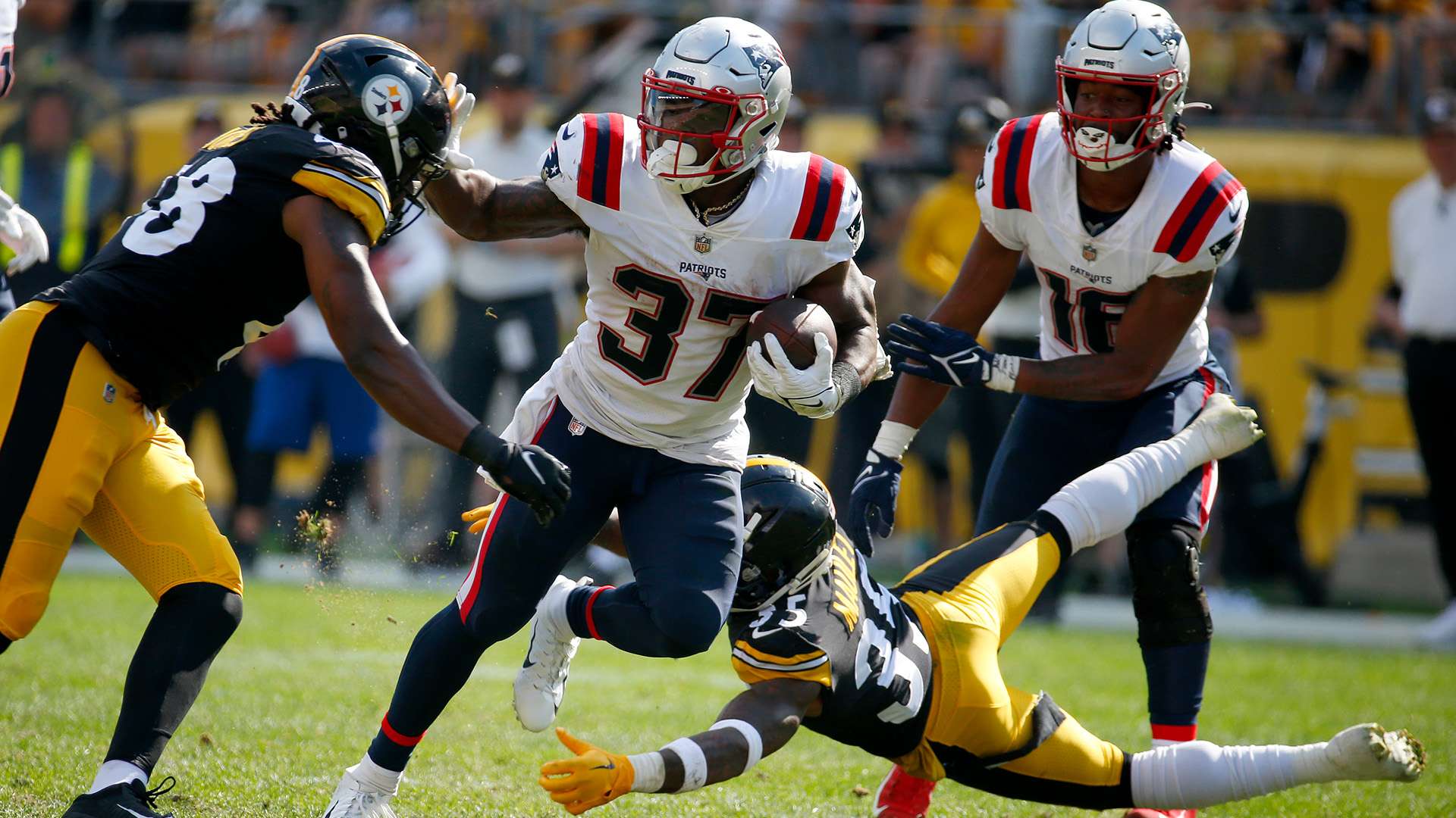 的重要一員 的重要一員