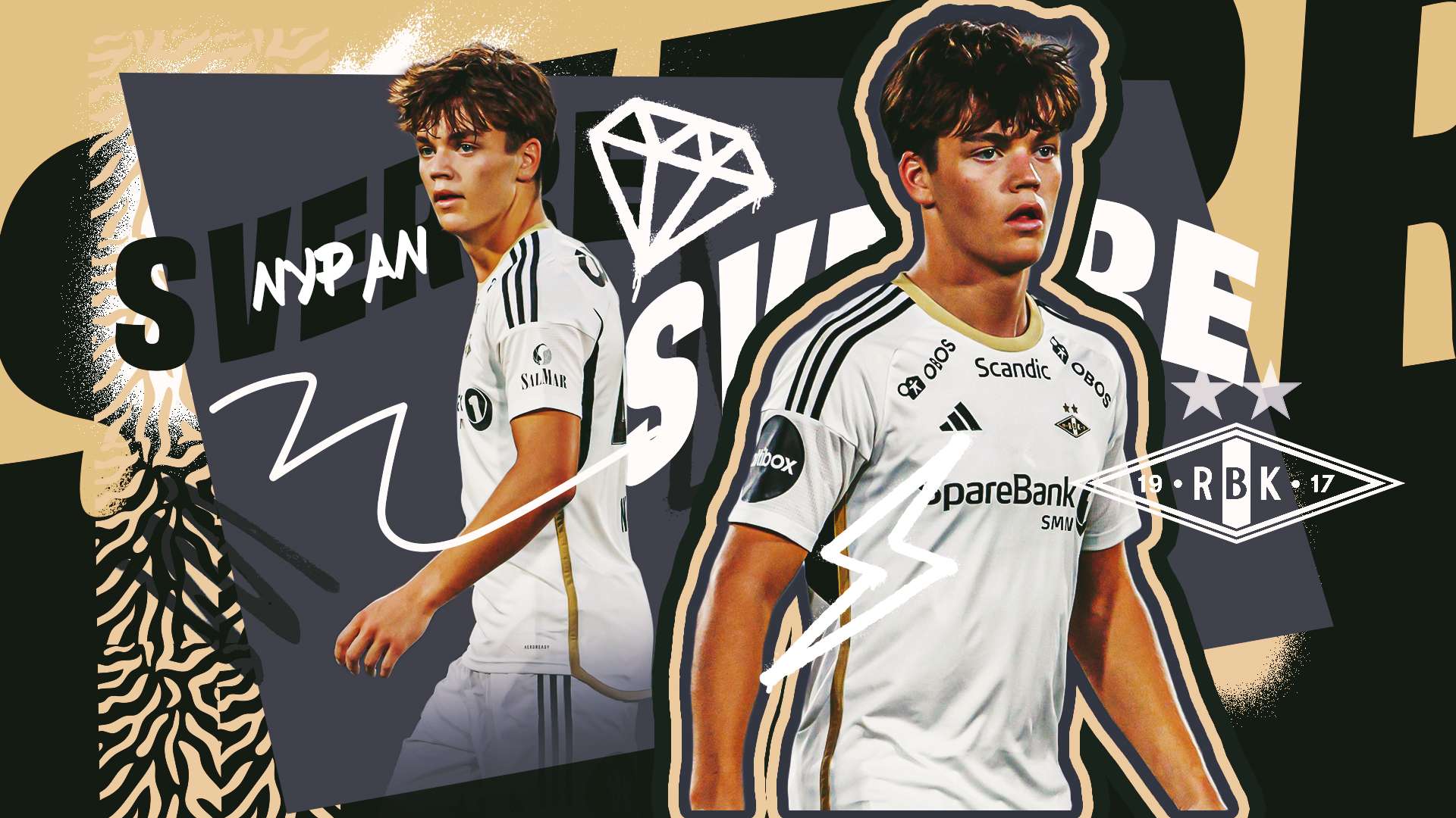 的多样性 的多样性